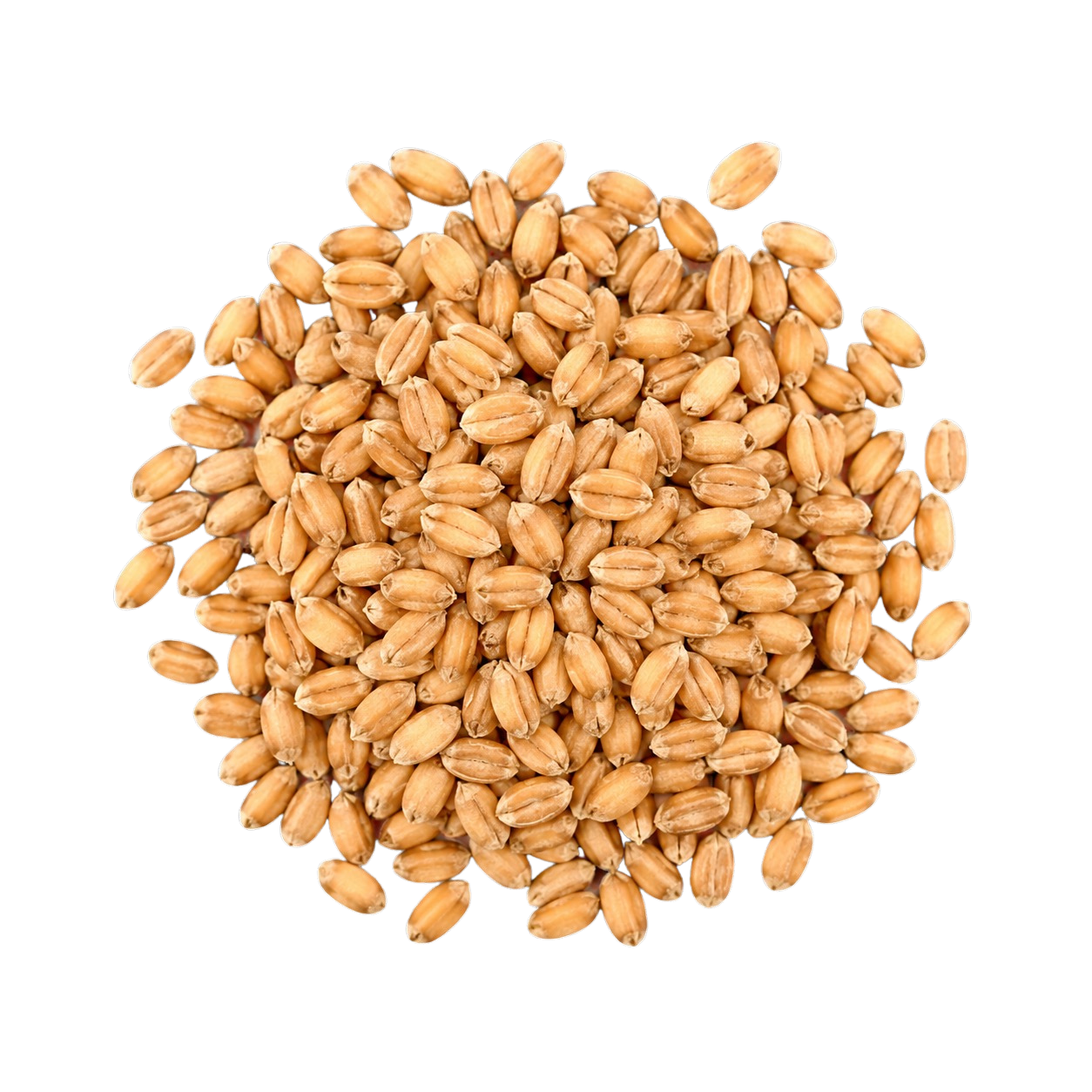 Blés meuniers