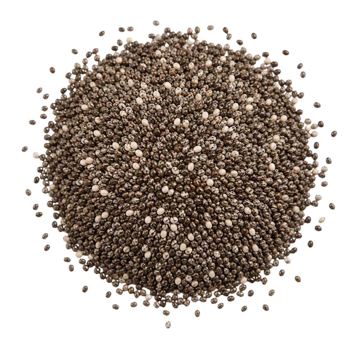 Chia