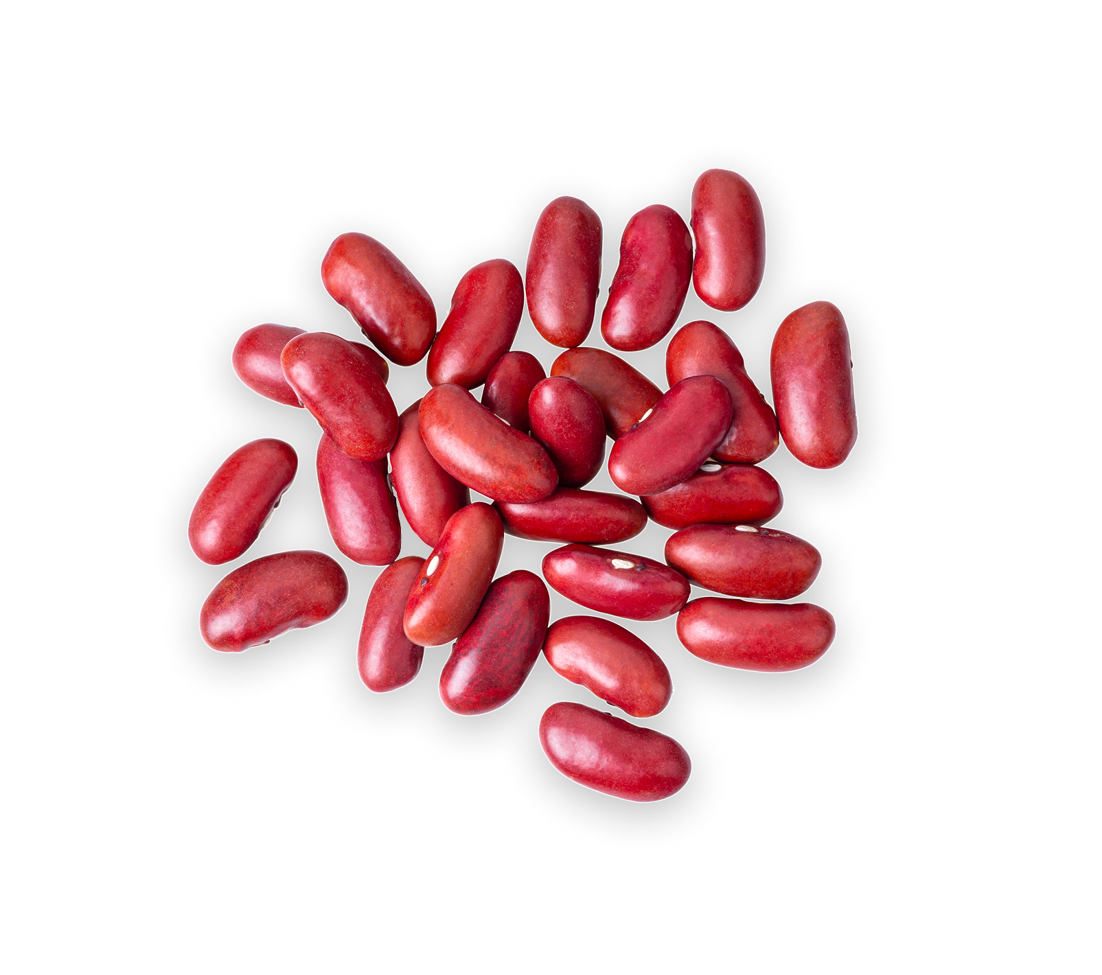 Haricots rouges