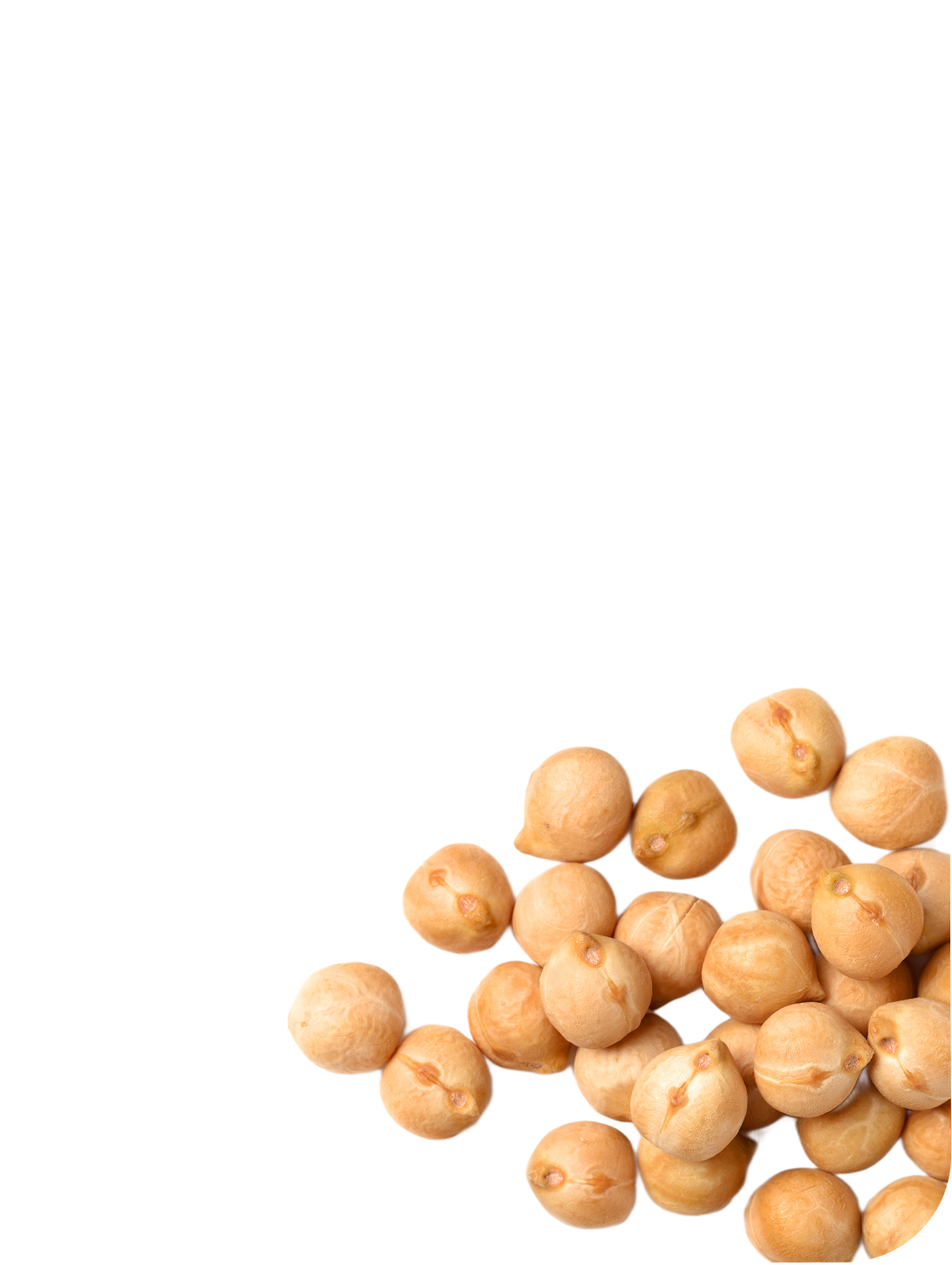 Nos légumineuses