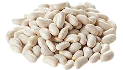 Haricots blancs