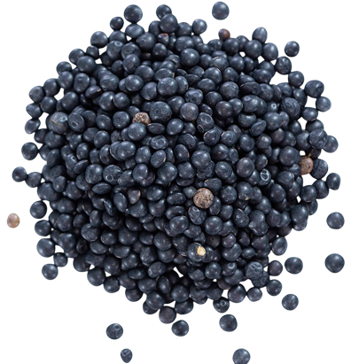 Lentilles beluga