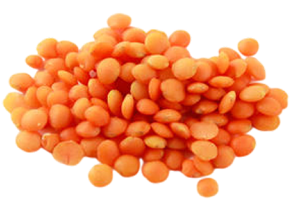 Lentilles corail